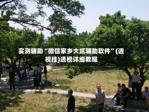 实测辅助“微信家乡大贰辅助软件”(透视挂)透视详细教程-第3张图片