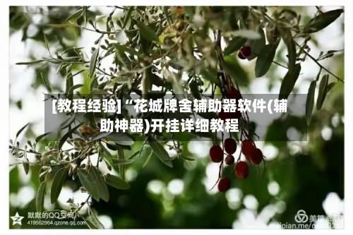 [教程经验]“花城牌舍辅助器软件(辅助神器)开挂详细教程