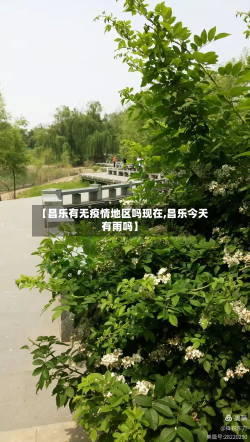 【昌乐有无疫情地区吗现在,昌乐今天有雨吗】