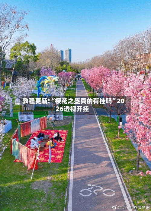 教程更新!“樱花之盛真的有挂吗	”2026透视开挂-第2张图片