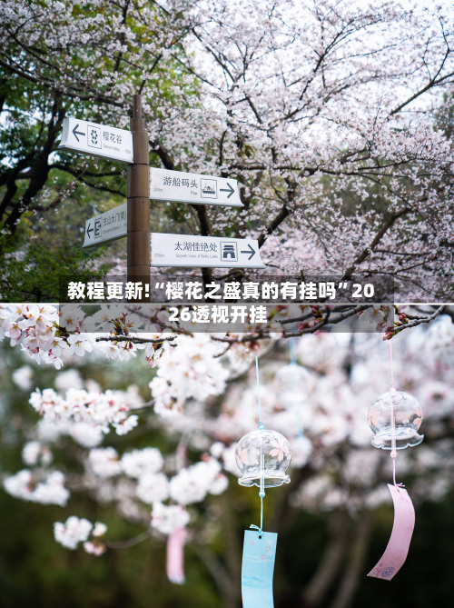 教程更新!“樱花之盛真的有挂吗”2026透视开挂