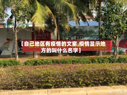 【自己地区有疫情的文案,疫情显示地方的叫什么名字】-第3张图片