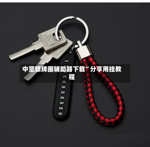 中至赣牌圈辅助器下载”分享用挂教程-第3张图片