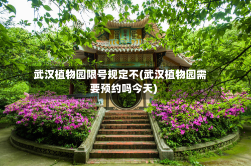 武汉植物园限号规定不(武汉植物园需要预约吗今天)-第2张图片