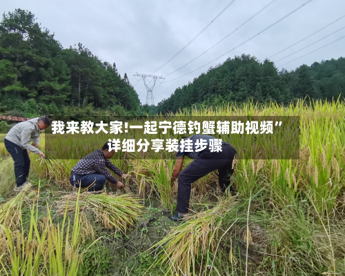 我来教大家!一起宁德钓蟹辅助视频”详细分享装挂步骤