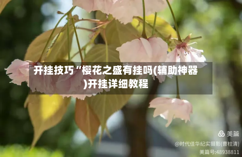 开挂技巧“樱花之盛有挂吗(辅助神器)开挂详细教程-第2张图片