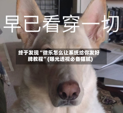 终于发现“微乐怎么让系统给你发好牌教程”(曝光透视必备猫腻)-第2张图片
