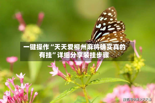 一键操作“天天爱柳州麻将确实真的有挂”详细分享装挂步骤-第3张图片