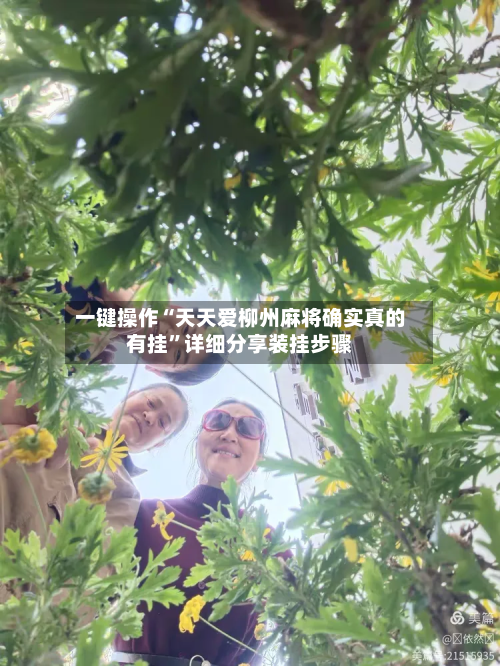 一键操作“天天爱柳州麻将确实真的有挂	”详细分享装挂步骤-第2张图片