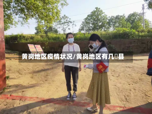 黄岗地区疫情状况/黄岗地区有几巿县