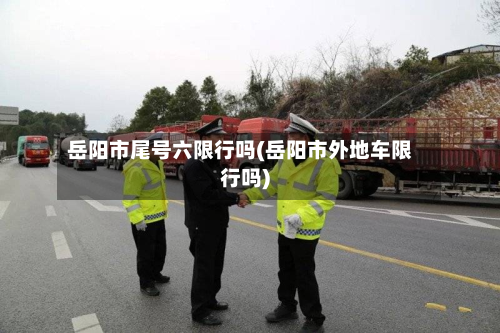 岳阳市尾号六限行吗(岳阳市外地车限行吗)-第3张图片
