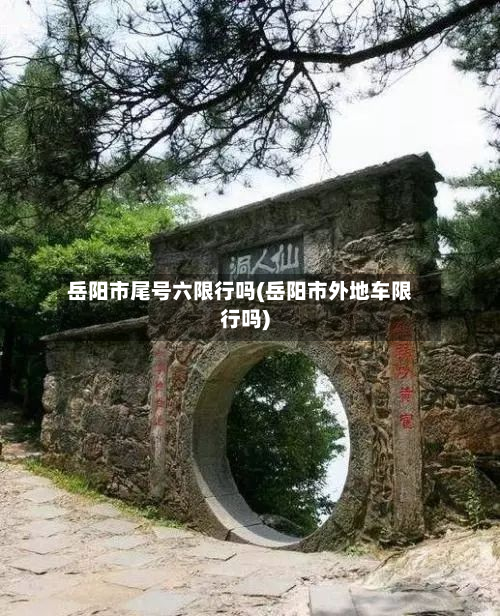 岳阳市尾号六限行吗(岳阳市外地车限行吗)
