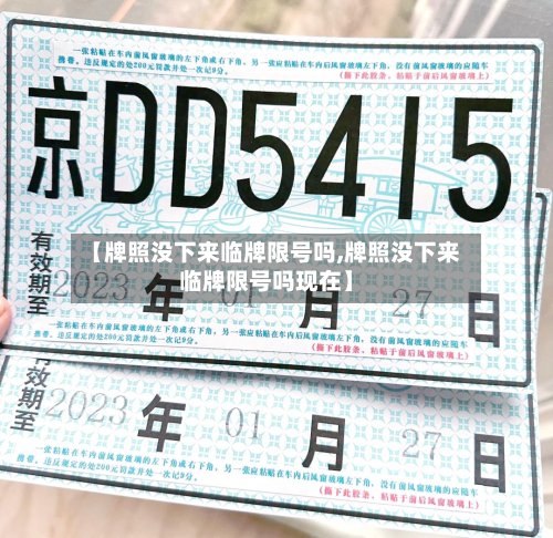 【牌照没下来临牌限号吗,牌照没下来临牌限号吗现在】-第2张图片