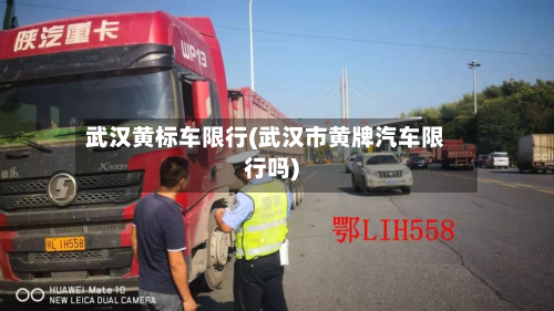 武汉黄标车限行(武汉市黄牌汽车限行吗)