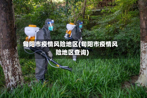 旬阳市疫情风险地区(旬阳市疫情风险地区查询)-第1张图片