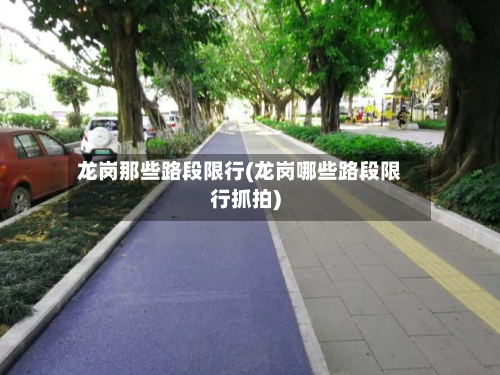 龙岗那些路段限行(龙岗哪些路段限行抓拍)-第2张图片