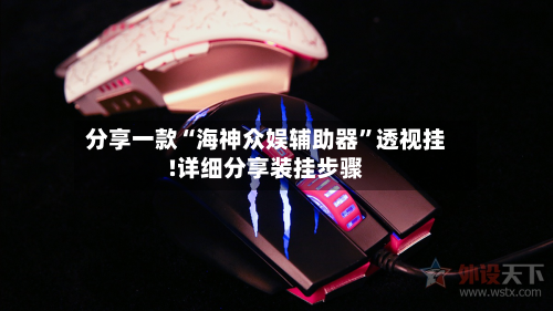 分享一款“海神众娱辅助器”透视挂!详细分享装挂步骤-第3张图片