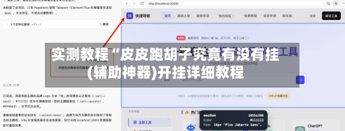 实测教程“皮皮跑胡子究竟有没有挂(辅助神器)开挂详细教程-第2张图片