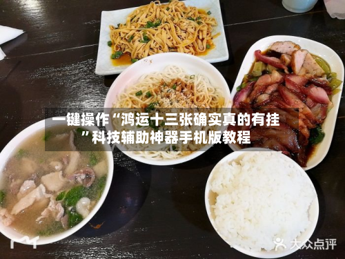 一键操作“鸿运十三张确实真的有挂”科技辅助神器手机版教程-第2张图片