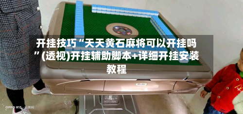 开挂技巧“天天黄石麻将可以开挂吗”(透视)开挂辅助脚本+详细开挂安装教程-第3张图片