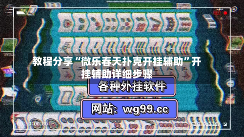 教程分享“微乐春天扑克开挂辅助	”开挂辅助详细步骤-第2张图片