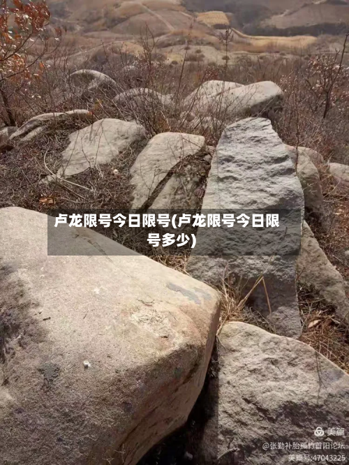 卢龙限号今日限号(卢龙限号今日限号多少)-第2张图片