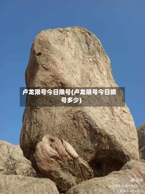 卢龙限号今日限号(卢龙限号今日限号多少)