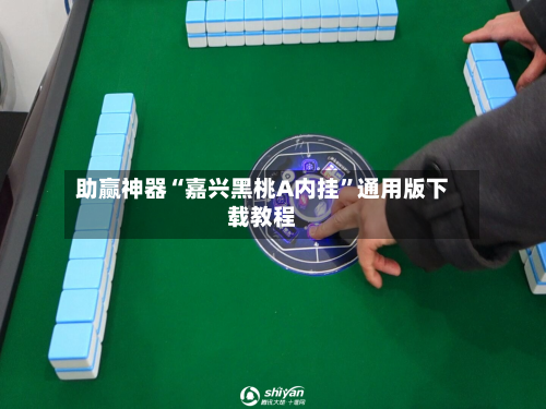 助赢神器“嘉兴黑桃A内挂”通用版下载教程-第2张图片