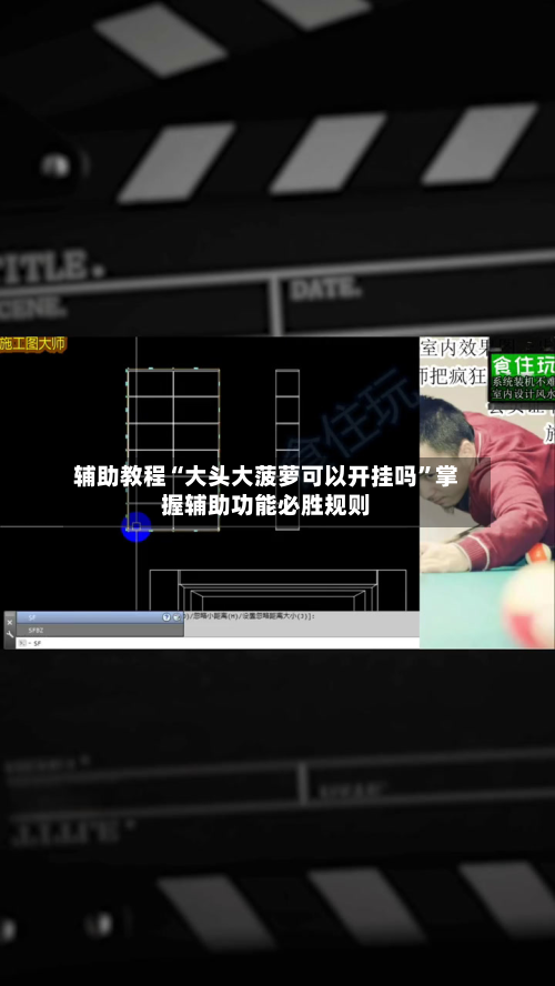 辅助教程“大头大菠萝可以开挂吗”掌握辅助功能必胜规则-第2张图片