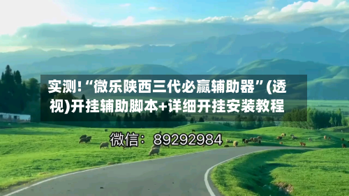 实测!“微乐陕西三代必赢辅助器”(透视)开挂辅助脚本+详细开挂安装教程