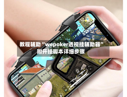 教程辅助“wepoker透视挂辅助器”附开挂脚本详细步骤-第2张图片