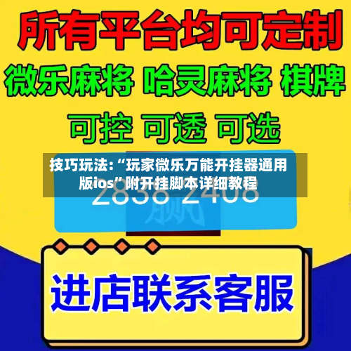 技巧玩法:“玩家微乐万能开挂器通用版ios”附开挂脚本详细教程-第2张图片