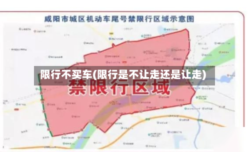 限行不买车(限行是不让走还是让走)