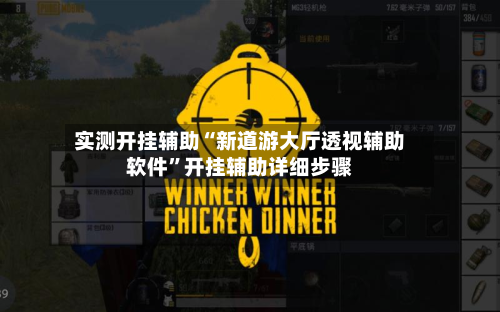 实测开挂辅助“新道游大厅透视辅助软件”开挂辅助详细步骤-第3张图片