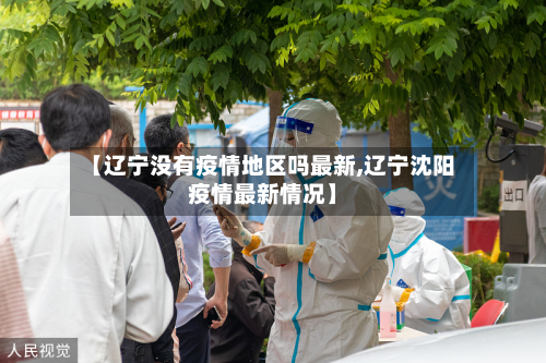 【辽宁没有疫情地区吗最新,辽宁沈阳疫情最新情况】-第2张图片