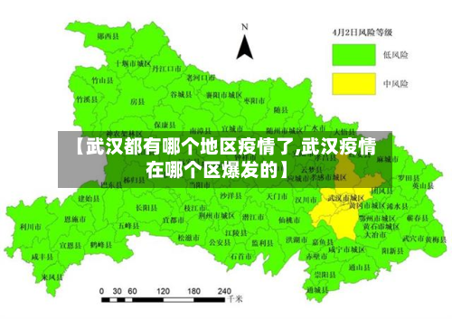 【武汉都有哪个地区疫情了,武汉疫情在哪个区爆发的】-第2张图片