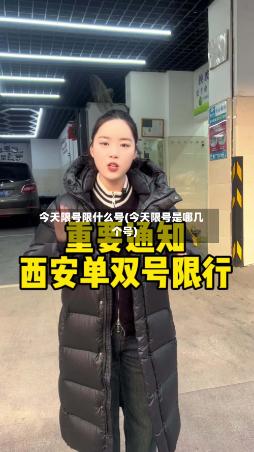 今天限号限什么号(今天限号是哪几个号)-第2张图片