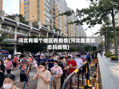 河北有哪个地区有疫情(河北能查状态吗疫情)-第1张图片