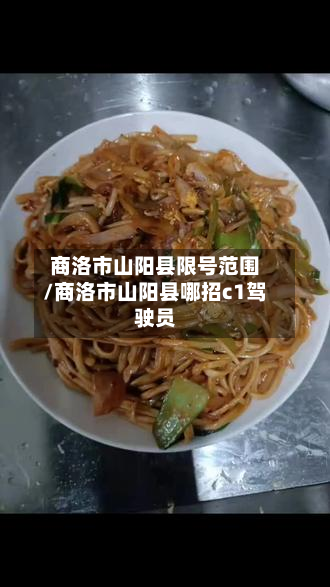 商洛市山阳县限号范围/商洛市山阳县哪招c1驾驶员-第2张图片