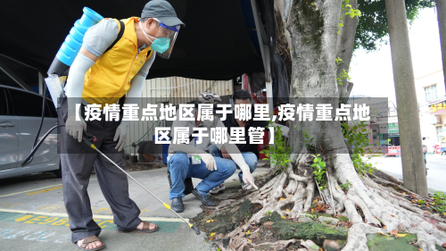 【疫情重点地区属于哪里,疫情重点地区属于哪里管】