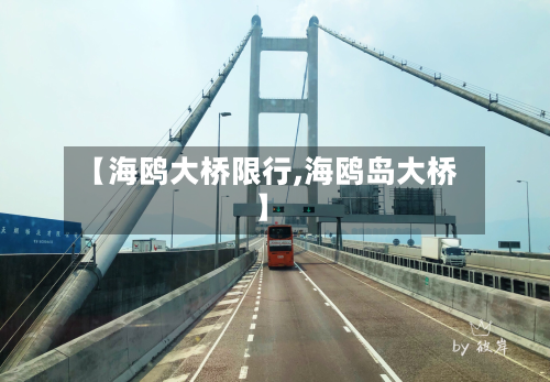 【海鸥大桥限行,海鸥岛大桥】