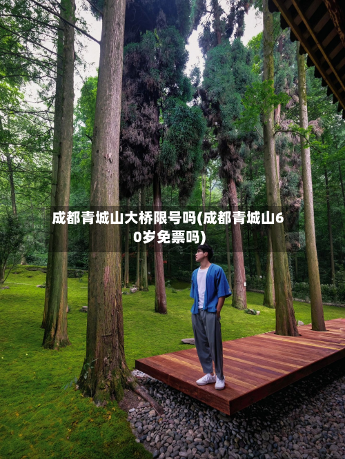 成都青城山大桥限号吗(成都青城山60岁免票吗)