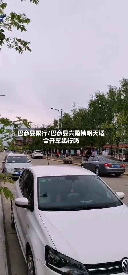 巴彦县限行/巴彦县兴隆镇明天适合开车出行吗