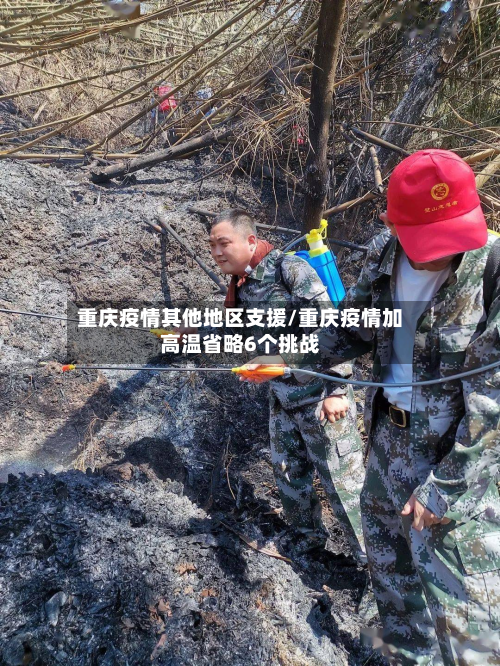 重庆疫情其他地区支援/重庆疫情加高温省略6个挑战-第2张图片