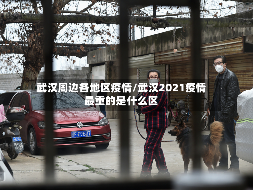 武汉周边各地区疫情/武汉2021疫情最重的是什么区-第3张图片