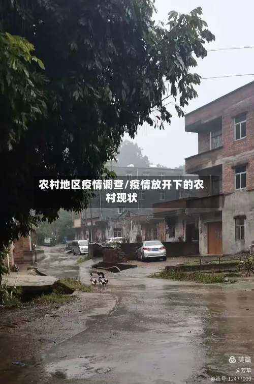 农村地区疫情调查/疫情放开下的农村现状
