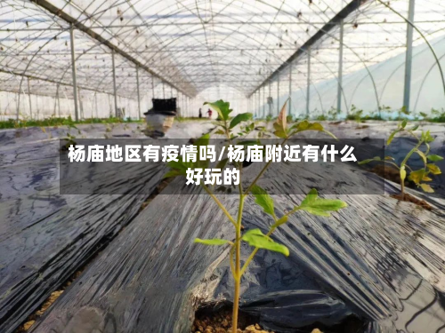 杨庙地区有疫情吗/杨庙附近有什么好玩的-第2张图片
