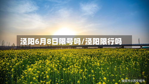 泾阳6月8日限号吗/泾阳限行吗-第2张图片
