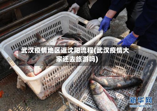 武汉疫情地区返沈阳流程(武汉疫情大家还去旅游吗)