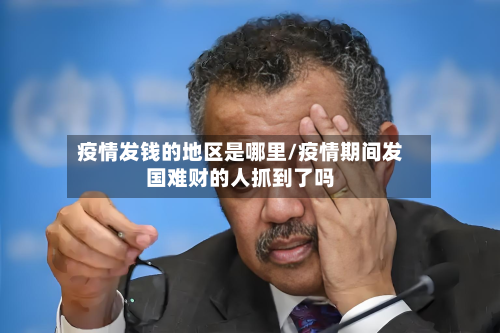 疫情发钱的地区是哪里/疫情期间发国难财的人抓到了吗
